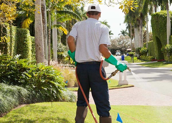 About Browntown WI Pest Control Pros